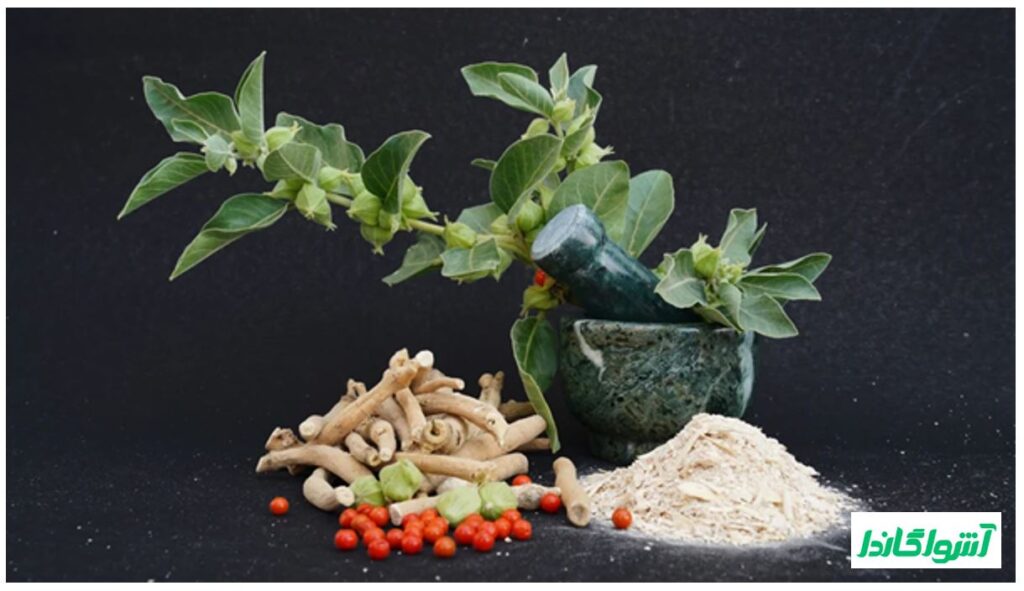 فواید جینسینگ و راهنمای خرید آن