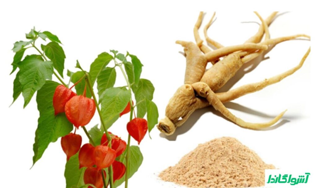 فواید مکمل آشواگاندا