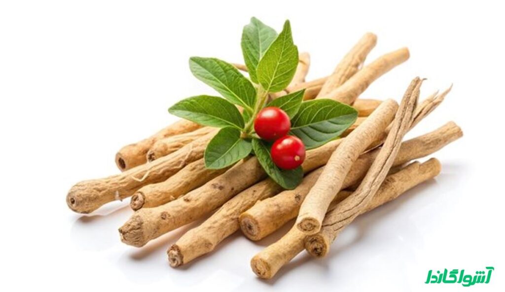 نقش گیاه آشواگاندا در کاهش استرس