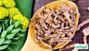 خواص گیاه ریشه طلایی